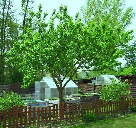 Nahe Ostseebad Rerik Quarto em Acomodações Particulares *