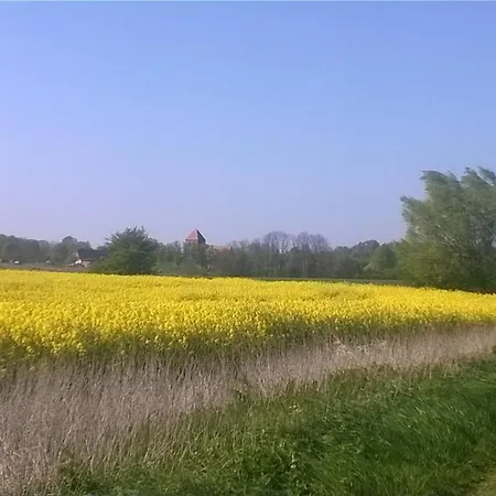 Nahe Ostseebad Rerik Quarto em Acomodações Particulares Alt Bukow