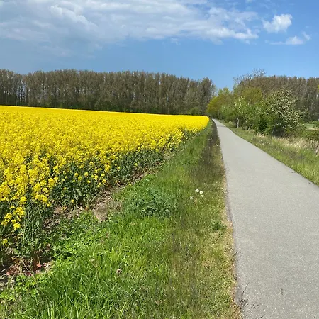 Nahe Ostseebad Rerik Quarto em Acomodações Particulares Alt Bukow