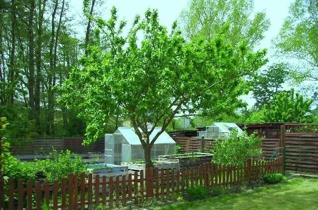 Nahe Ostseebad Rerik ホームステイ *