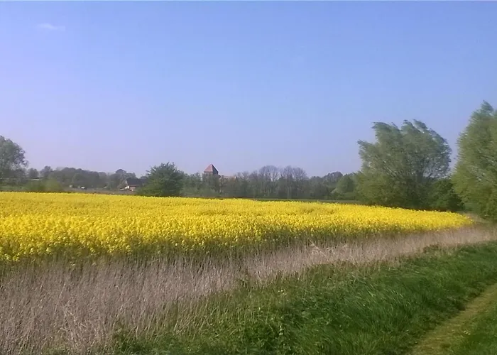 Nahe Ostseebad Rerik ホームステイ Alt Bukow